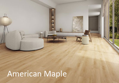 American Maple
